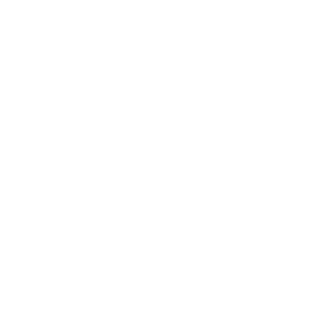 Logo Brillante New-01